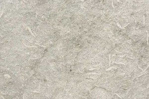 Fossil green 60x60x3cm gevlamd kalksteen