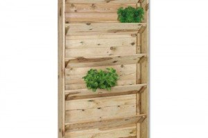 Planten etagere moestuin