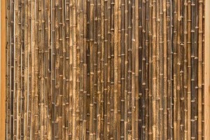 Bamboescherm in douglaslijst 186x186