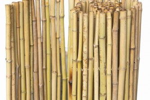 Bamboerol naturel