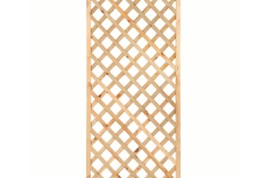 trellis met lijst en diagonale lamellen h180xb90cm